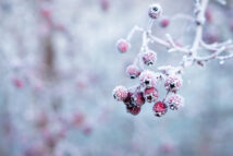 web_galina-n-AgWVcQz1bOA-unsplash